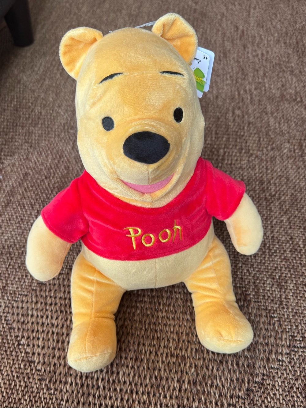 NWT Disney Winnie the Pooh Bear Plush Plushie Stuffed Animal Toy